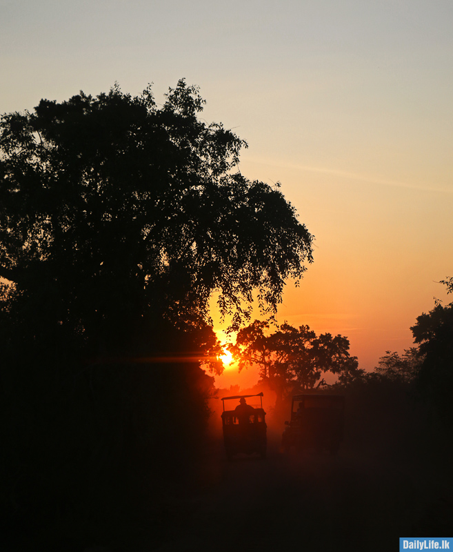 Sunrise at Yala National Park